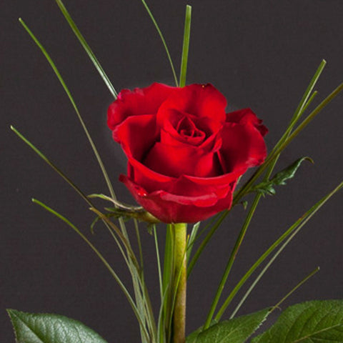 Single Red Valentine Rose