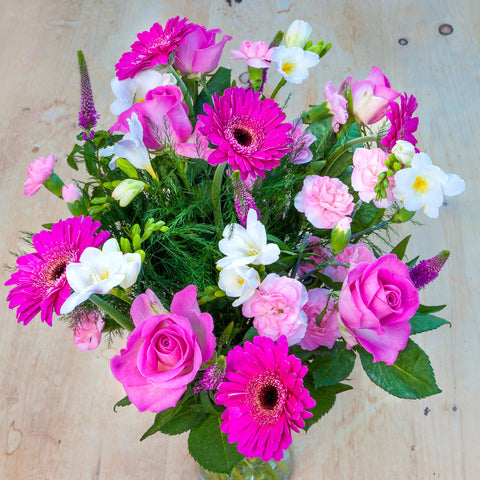 Shocking Pink