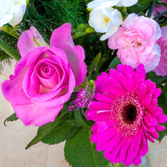 Shocking Pink