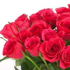 Cerise Roses for Mum