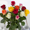 Dozen Roses