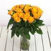 Orange Roses