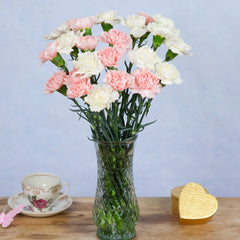 Pink and White Carnations