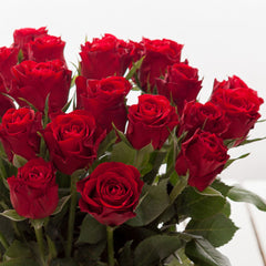 Red Roses