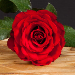 Single Red Valentine Rose
