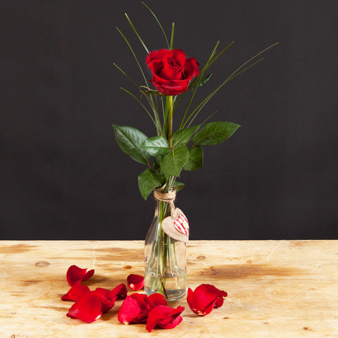 Single Red Valentine Rose