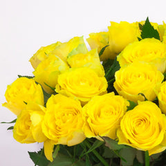 Yellow Roses