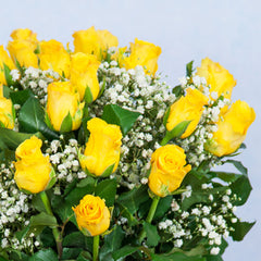 Yellow Roses & Gypsophila