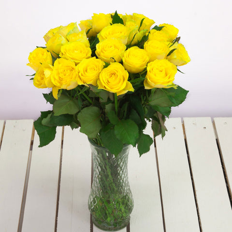 Yellow Roses